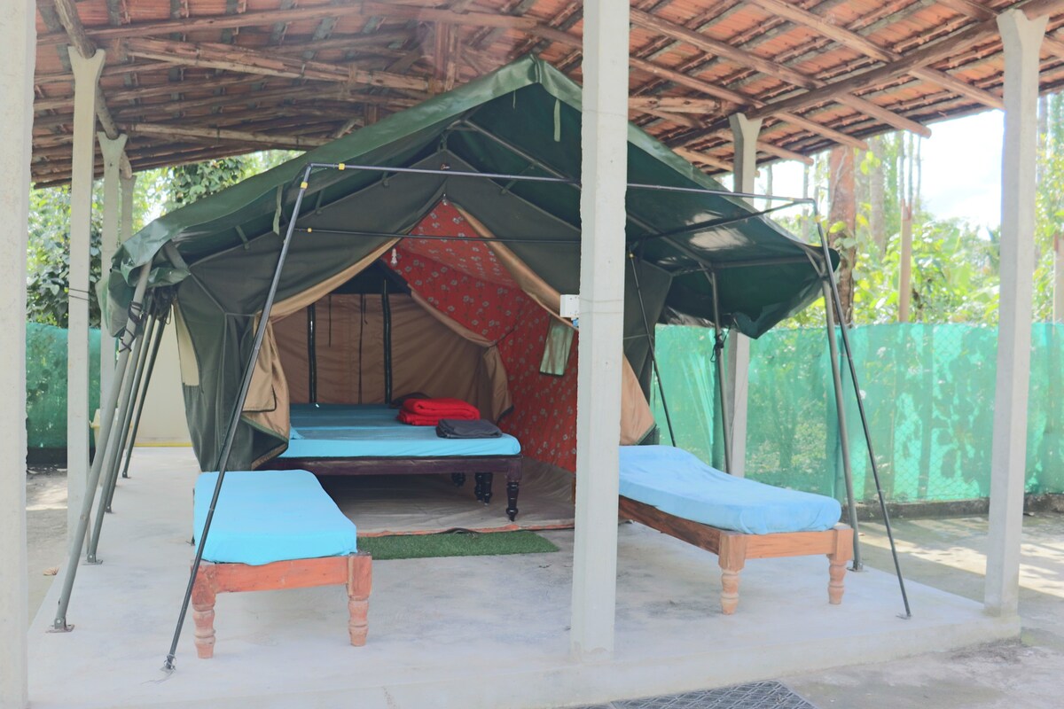 Jungle Safari Tent in Sakleshpur -#08