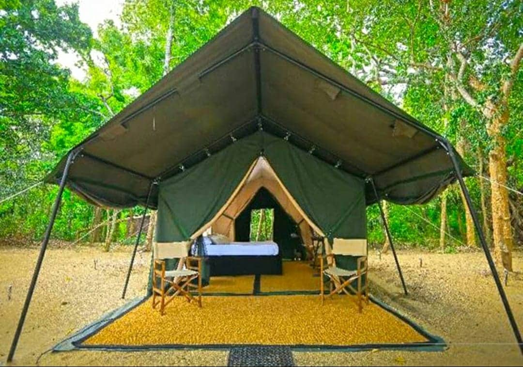 Jungle Safari Tent in Sakleshpur -#08