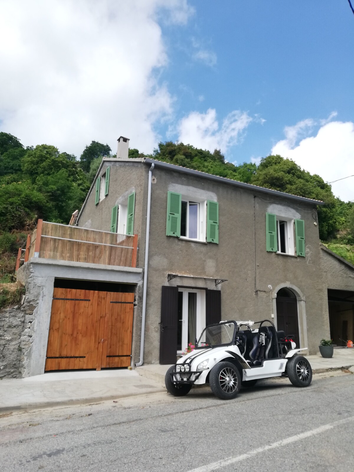 Chambre d'hôtes Pancheraccia Haute-Corse 20251