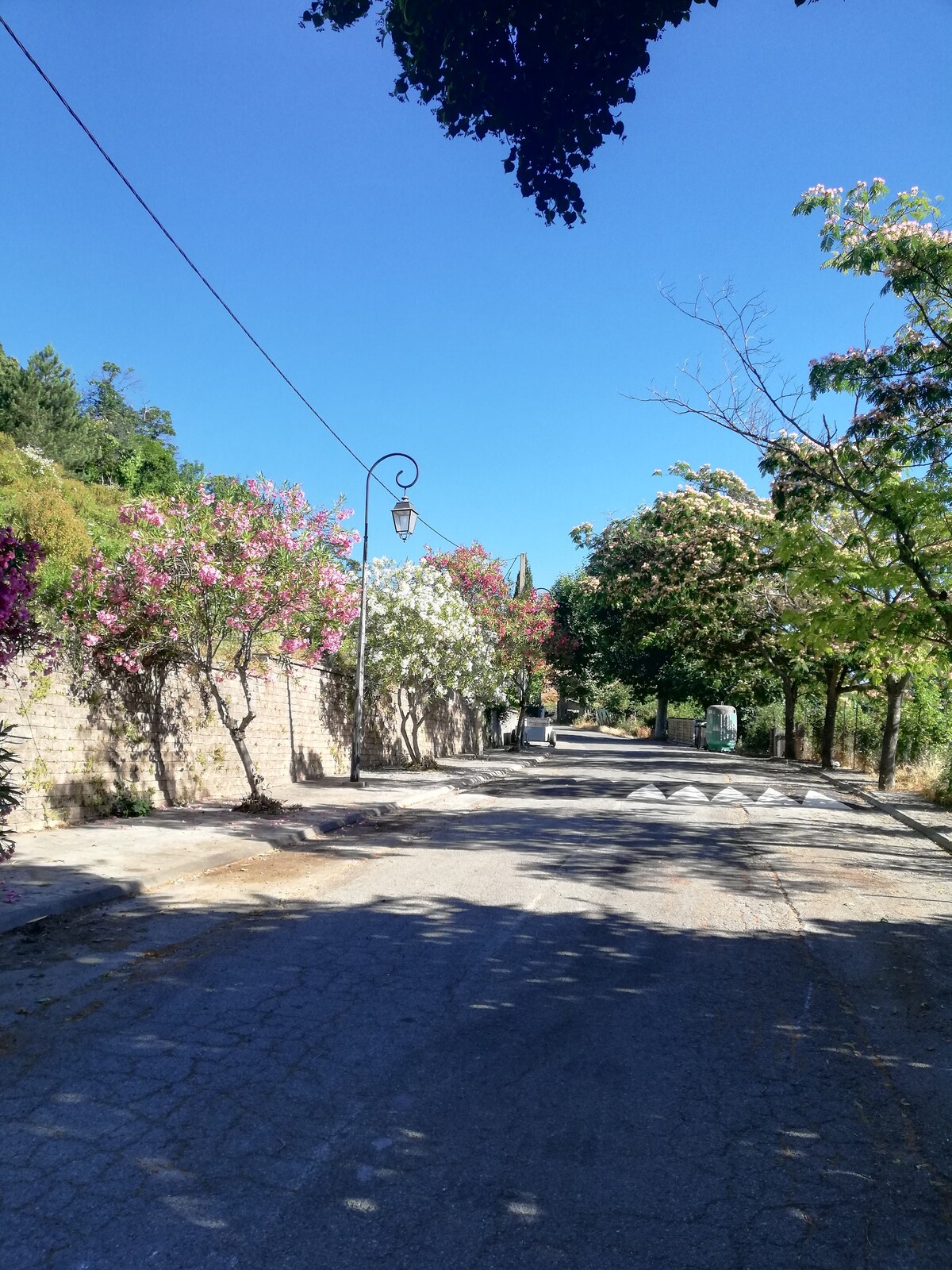 Chambre d'hôtes Pancheraccia Haute-Corse 20251