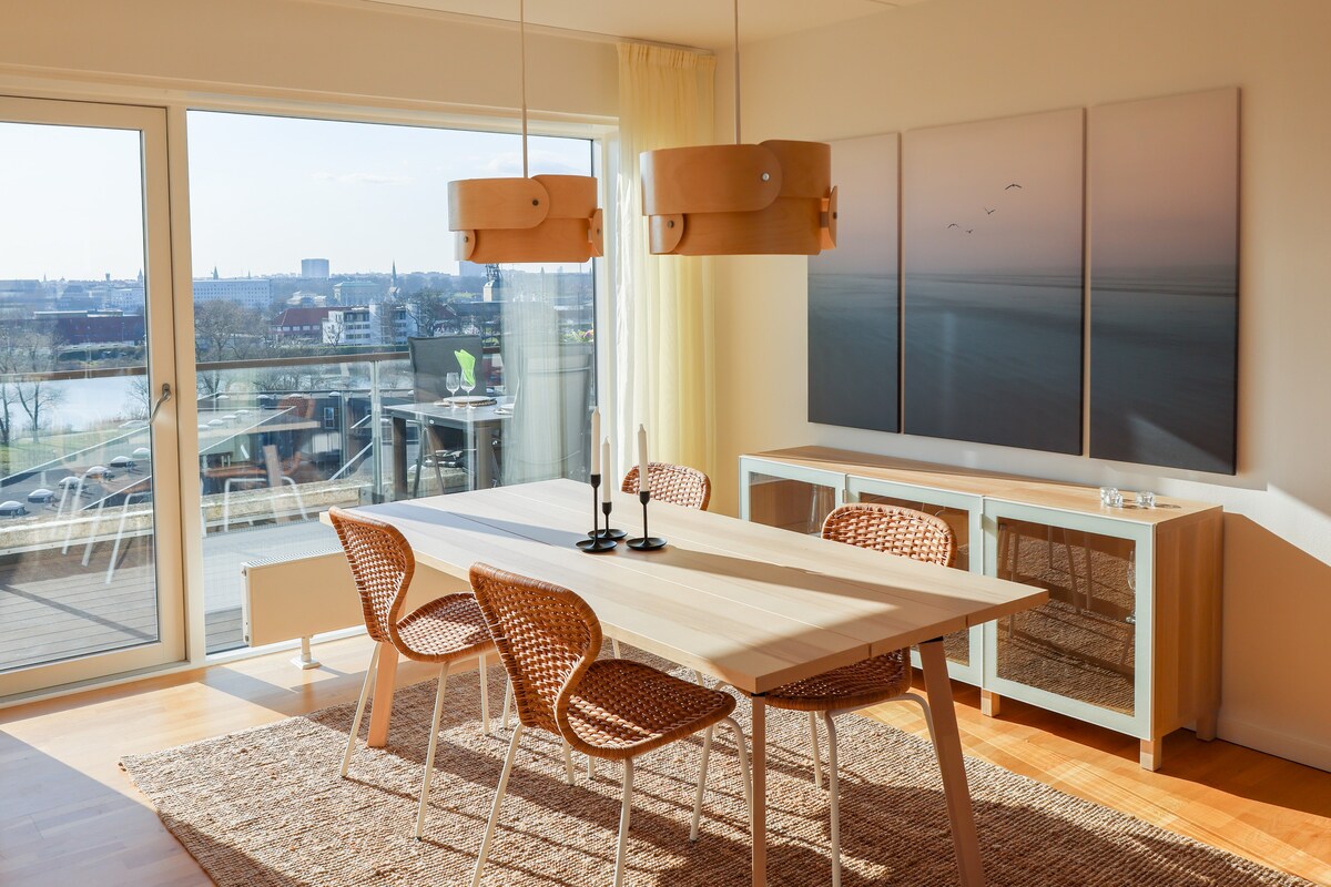 BlydeHomes -哥本哈根顶层公寓天际线景观