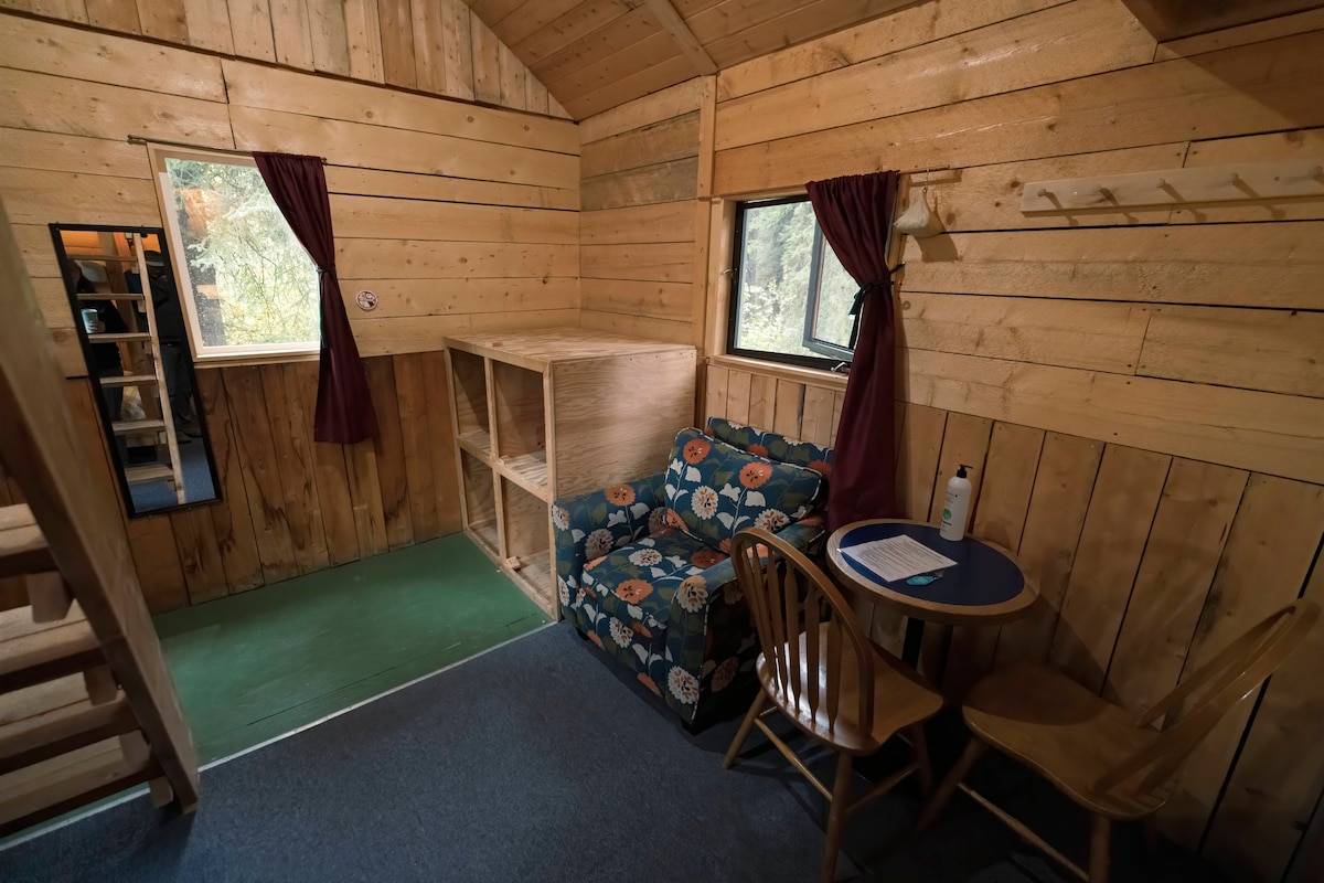 Single bed near Denali National Park, coed dorm