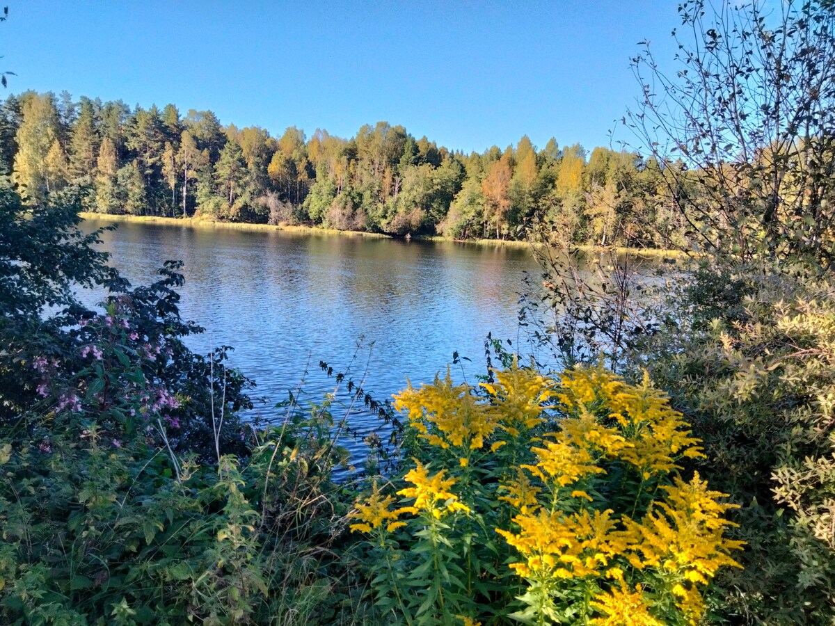 Lugn avskild lantlig gård vid Klarälven.