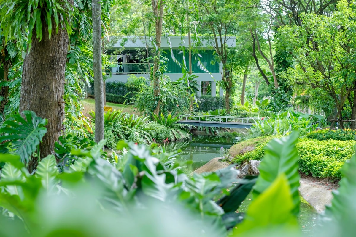 Baan Romyen Forest Khao Yai