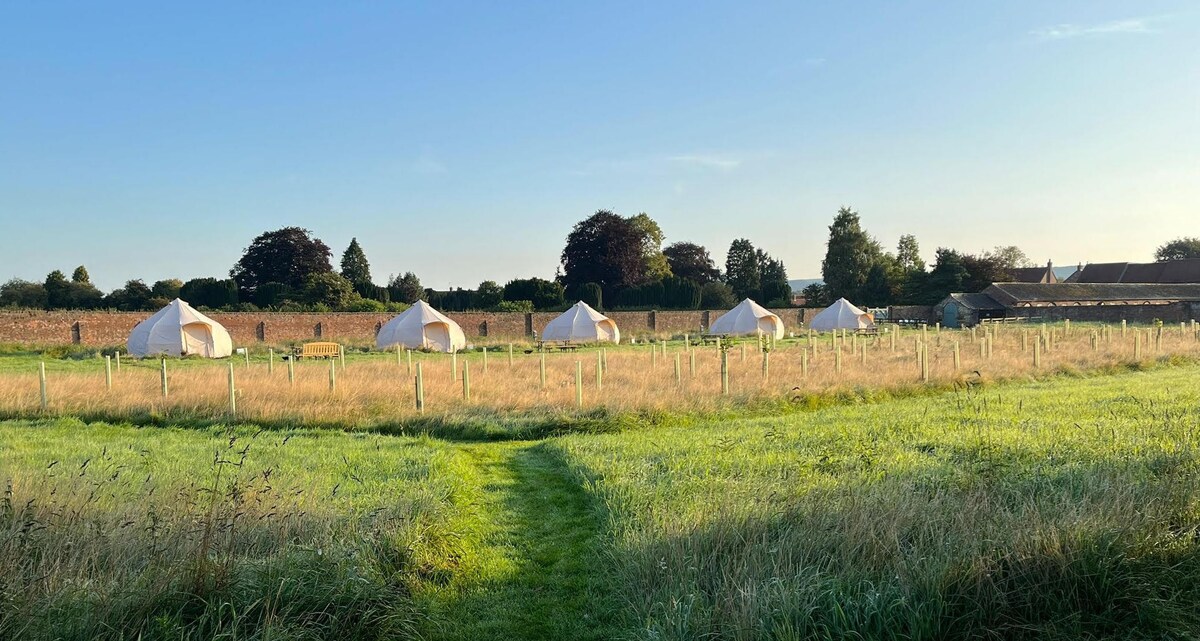 Thirsk Hall Glamping Site