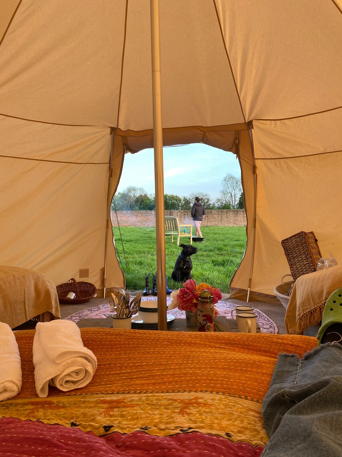 Thirsk Hall Glamping Site