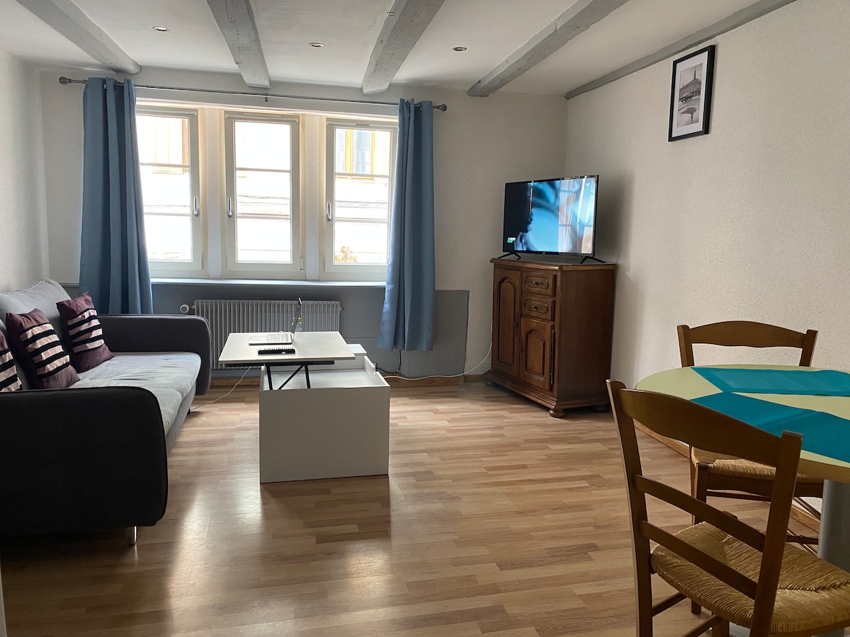 «LE COSY» T2-Montbeliard-Centre-ville