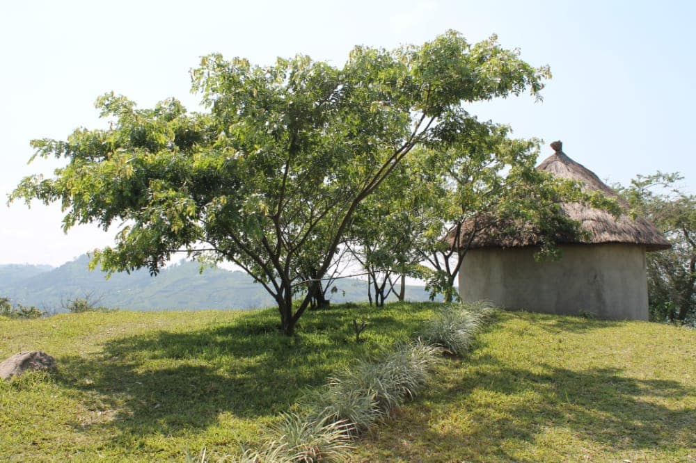 lake mwamba lodge