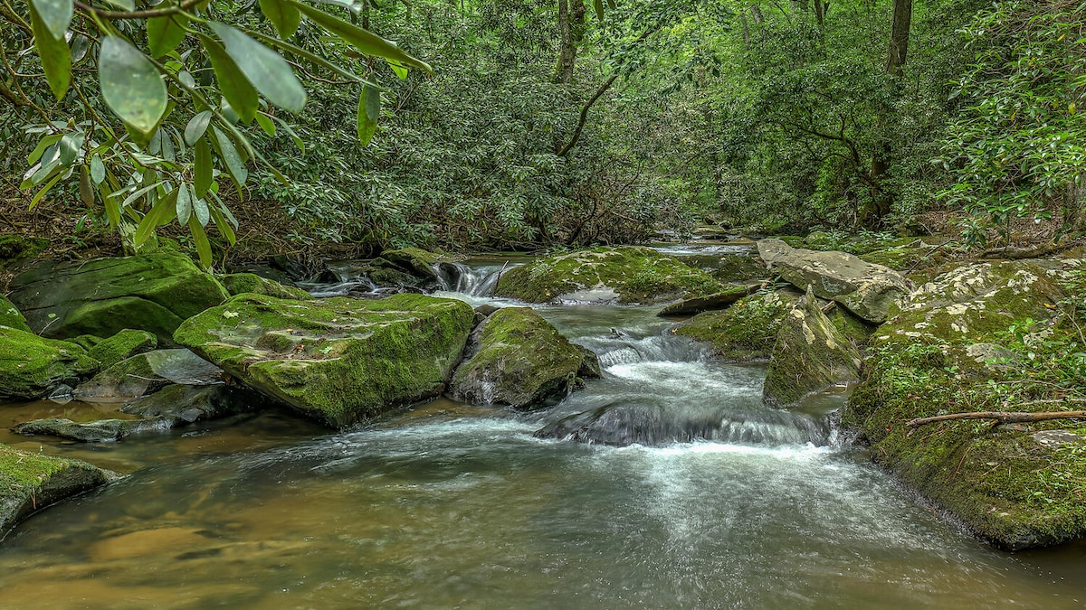 Cider Mill House overlooking private stream