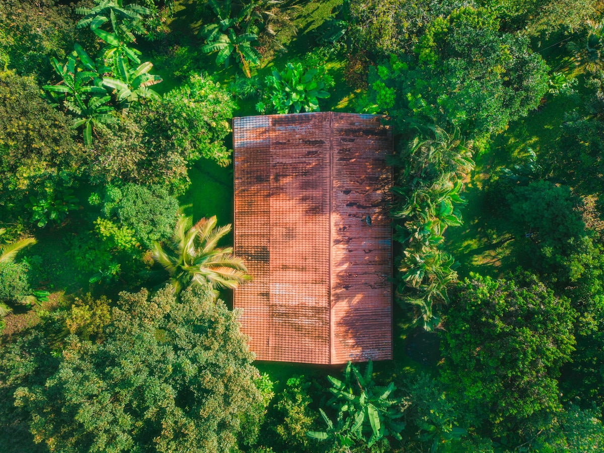 Rustic house surrounded by nature