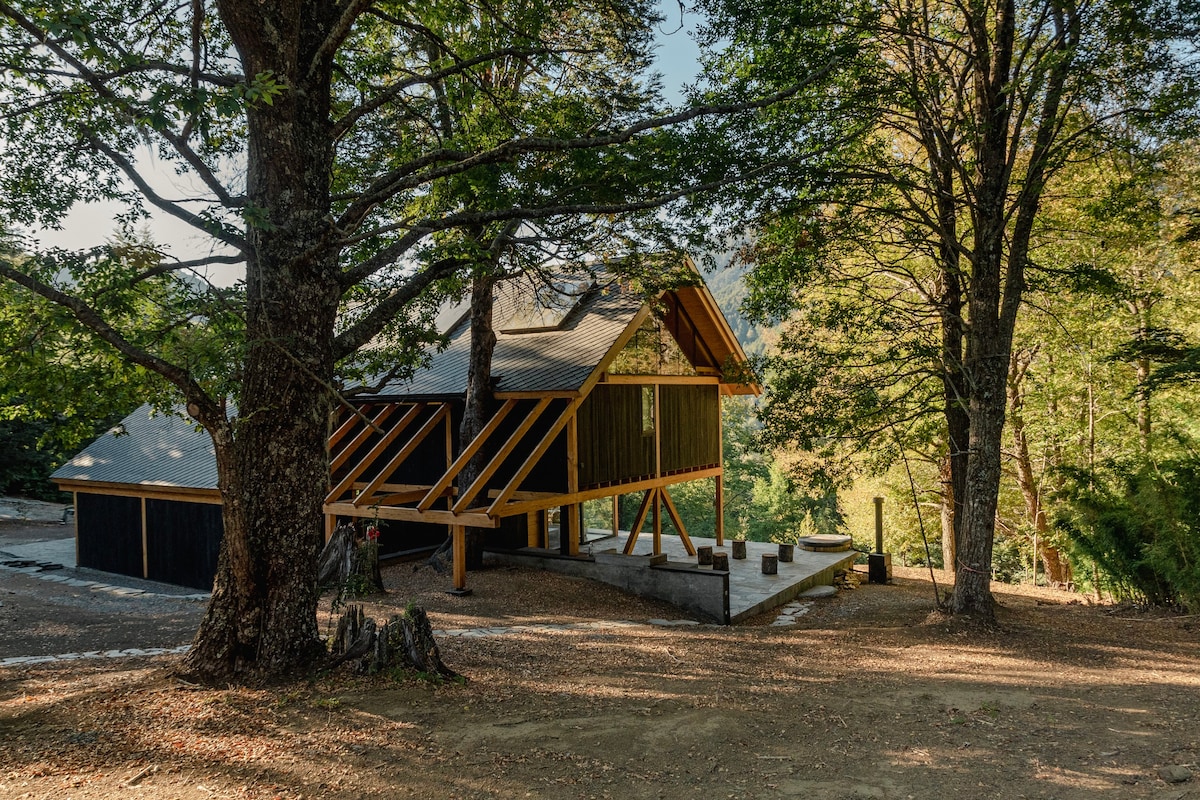 Luxury Chalet in Malalcahuello National Park