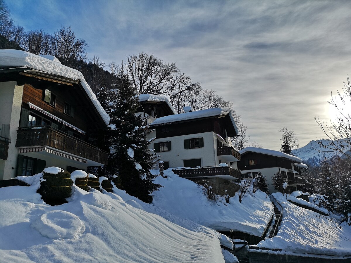 Sunny Chalet Casanna