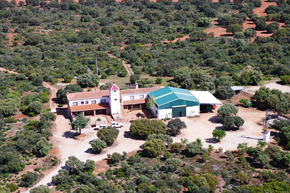 Casa Rural Finca Cerro Moreno (Ossa de Montiel)