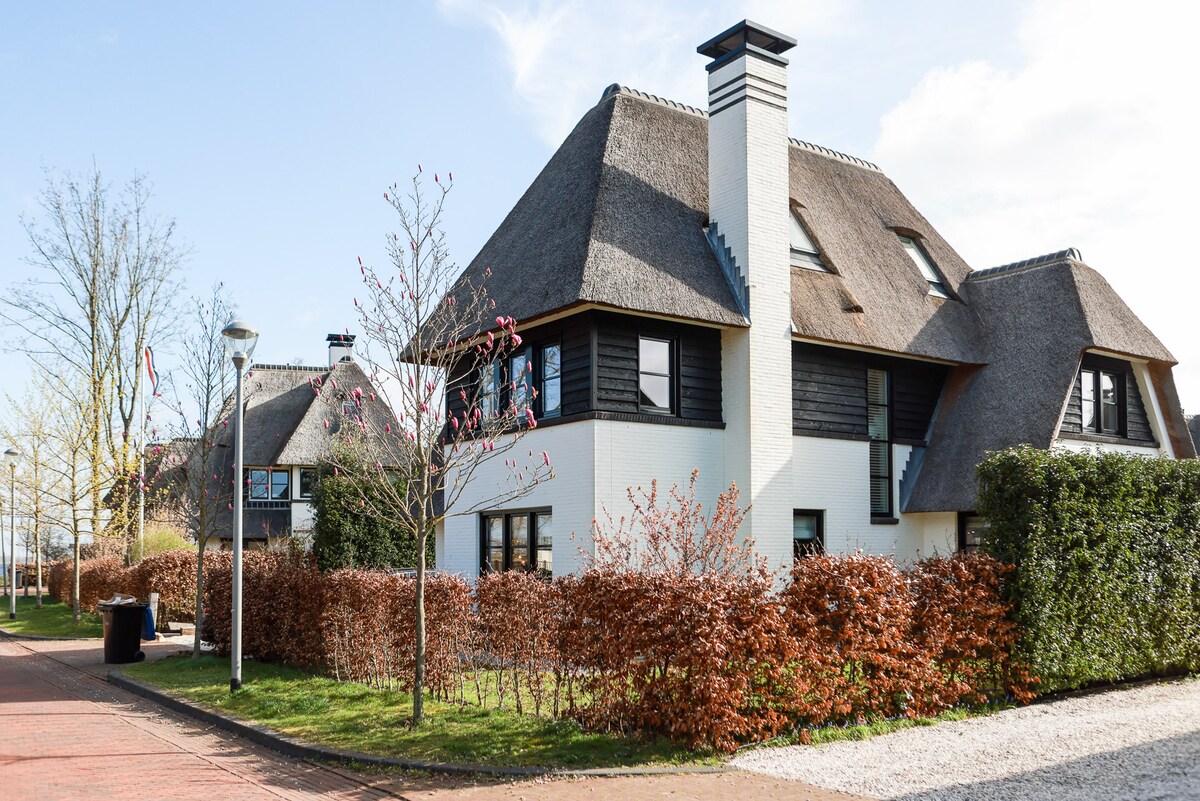 阿姆斯特丹附近湖畔的别墅