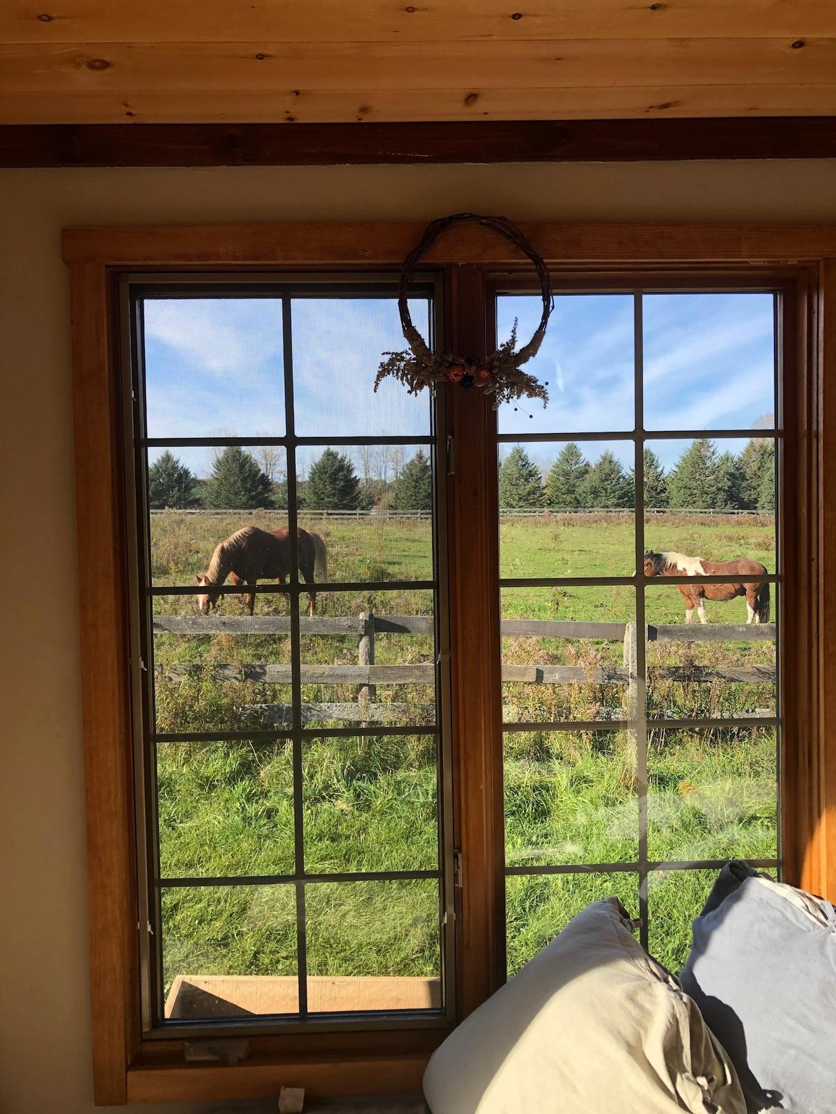 Country Escape Tiny Home