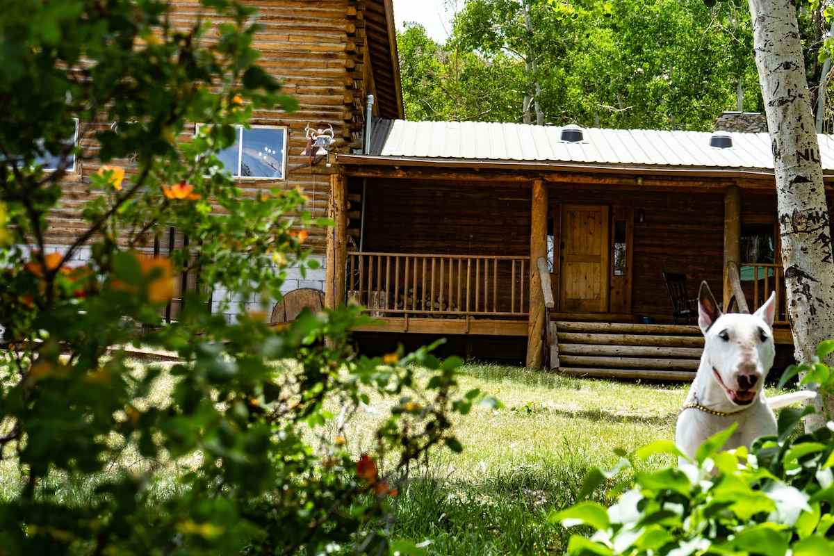 Remote mountain lodge