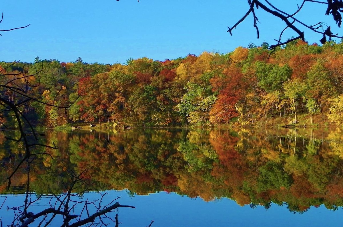 Kettle 2BR Cabin on 15 wooded acres w private Lake