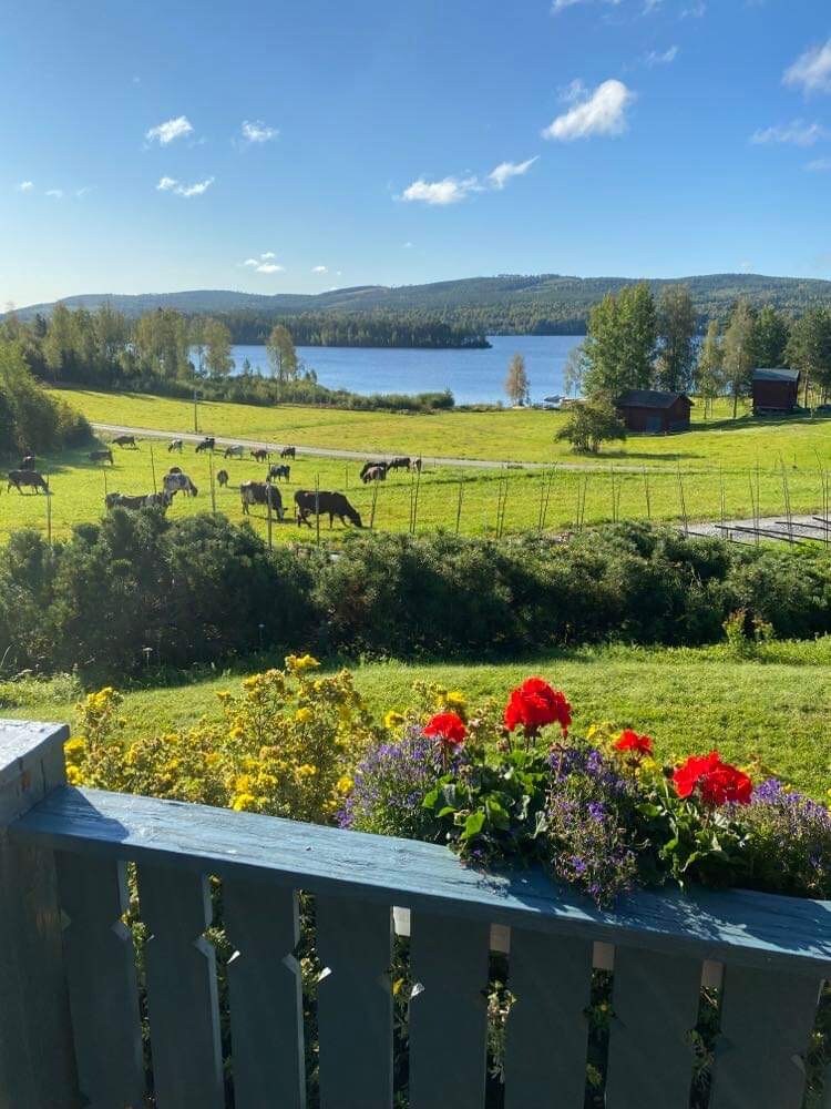 Stuga med vacker utsikt i Järvsö