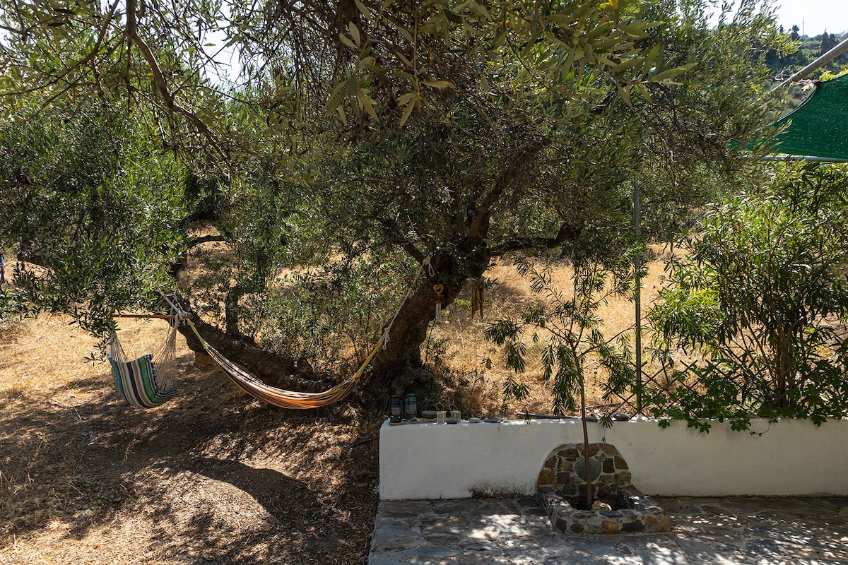 Veristic Crete: Olive, Sea & Rock