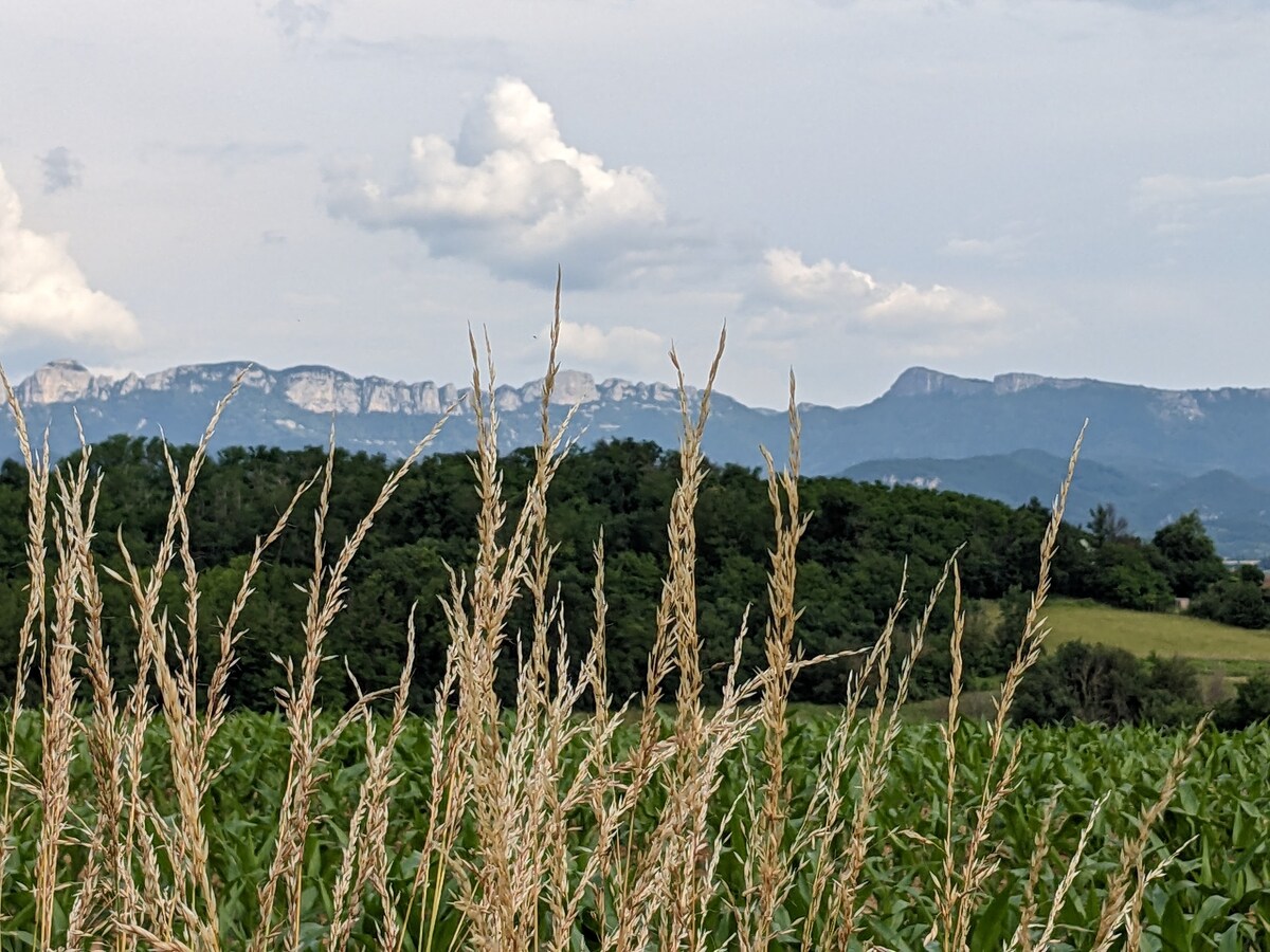 Maison d'artistes dans la nature