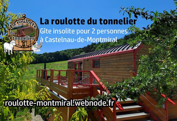 卡斯泰尔诺德蒙特米拉 (Castelnau-de-Montmiral)的民宿