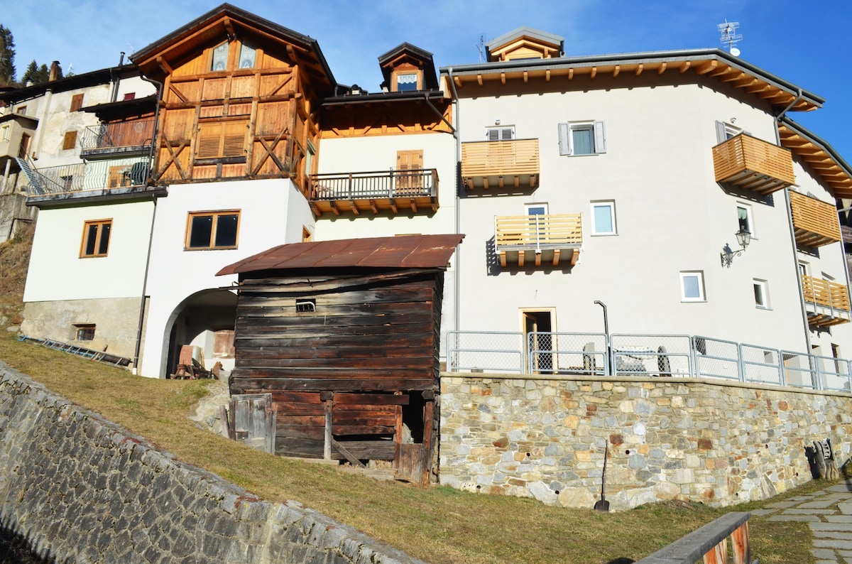 Cortina CIPAT河上的高山之家： 022213-AT-011916