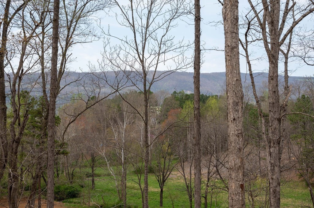 The Treehouse: Hot Tub + Wineries + 10 Acres