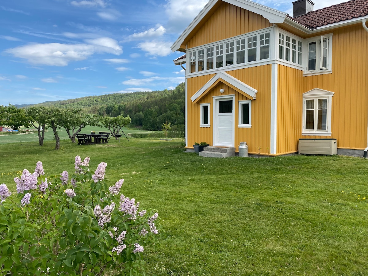 Det gule hus på Suigard Grave