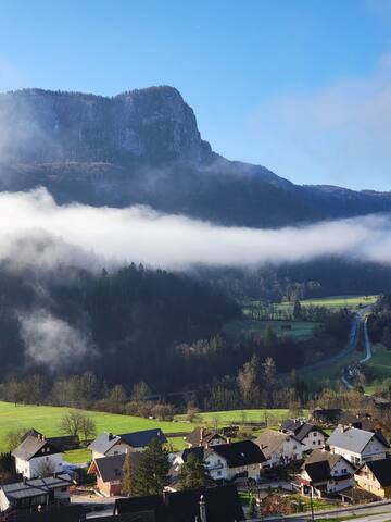 Bohinjska Bela的民宿