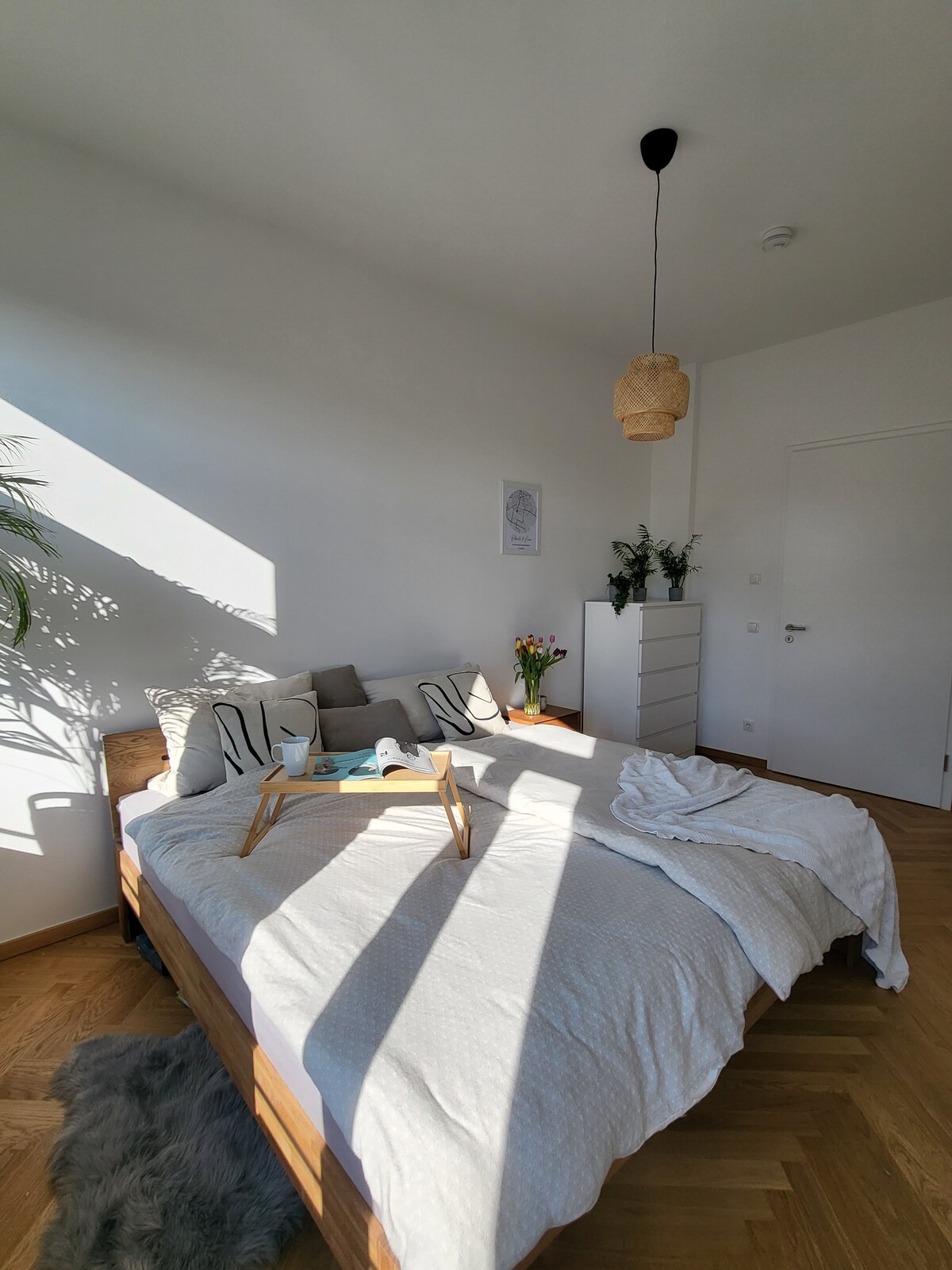 Schöne neue zentrale Wohnung