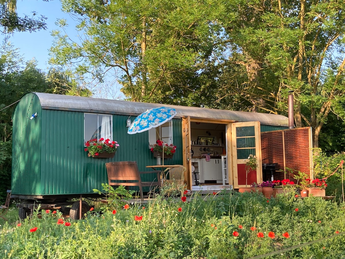 Tinyhouse mit Sauna und Meditationsangebot