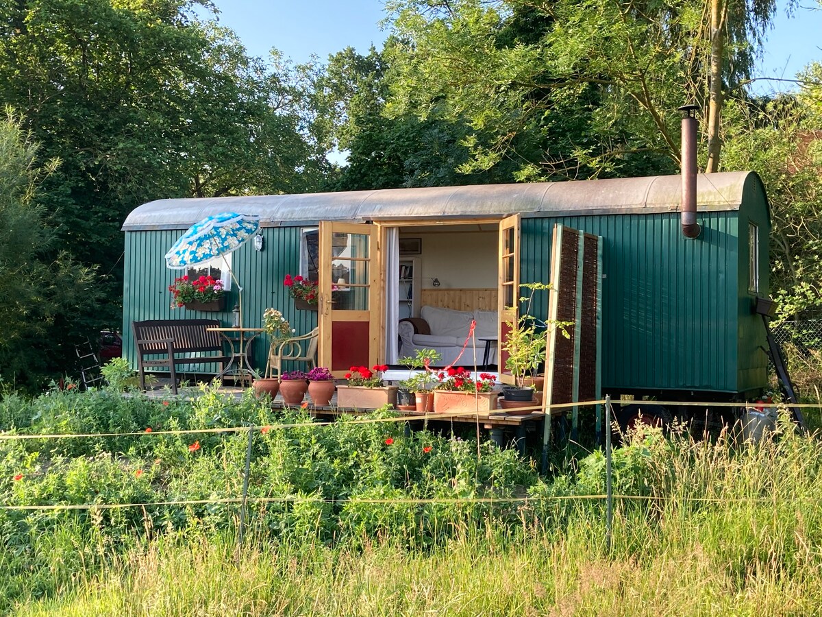 Tinyhouse mit Sauna und Meditationsangebot