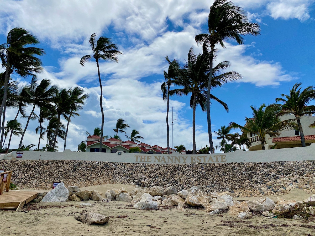 Ocean Front Beach House 6 BR Luxury In Cabarete!