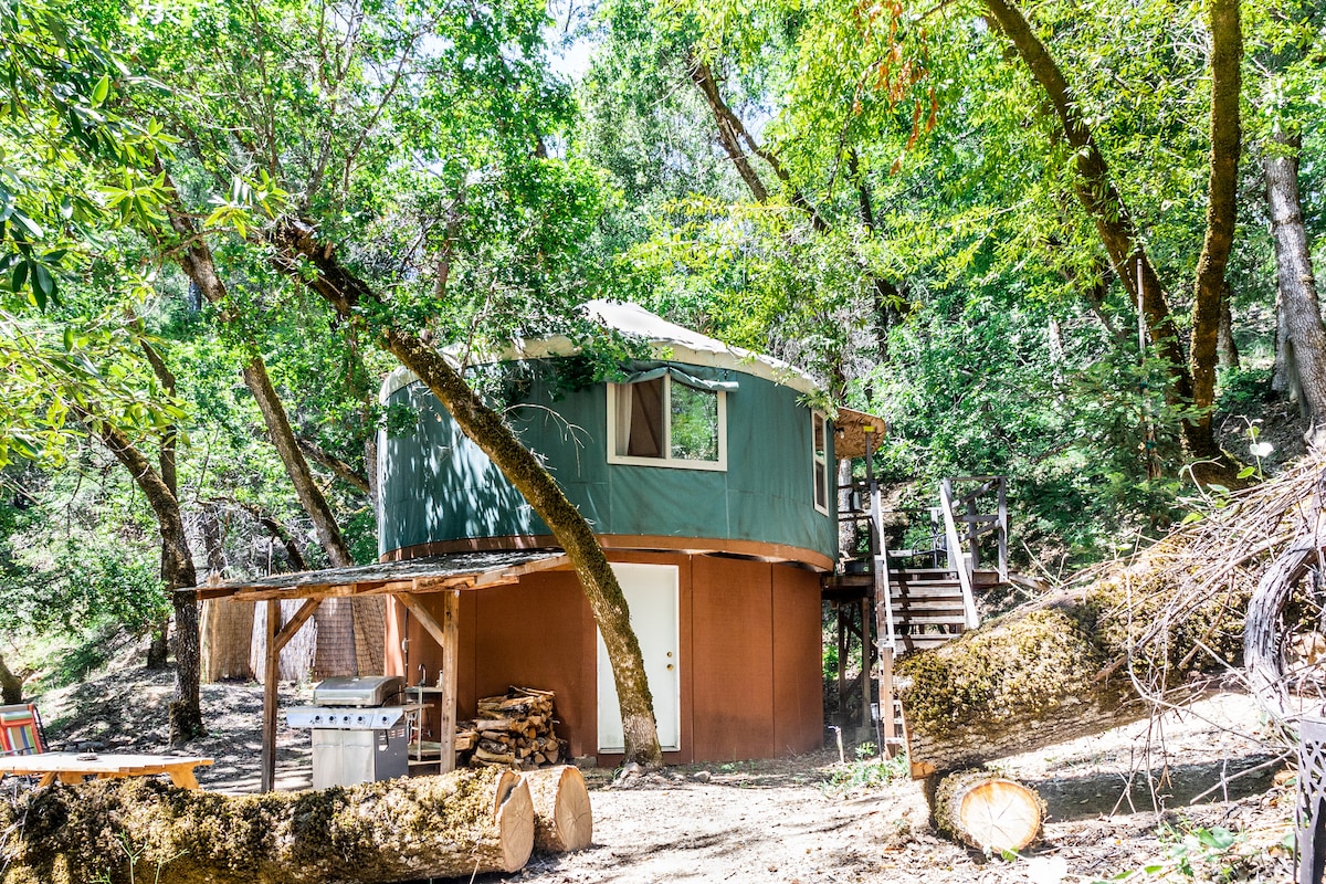 Earthen Yurt