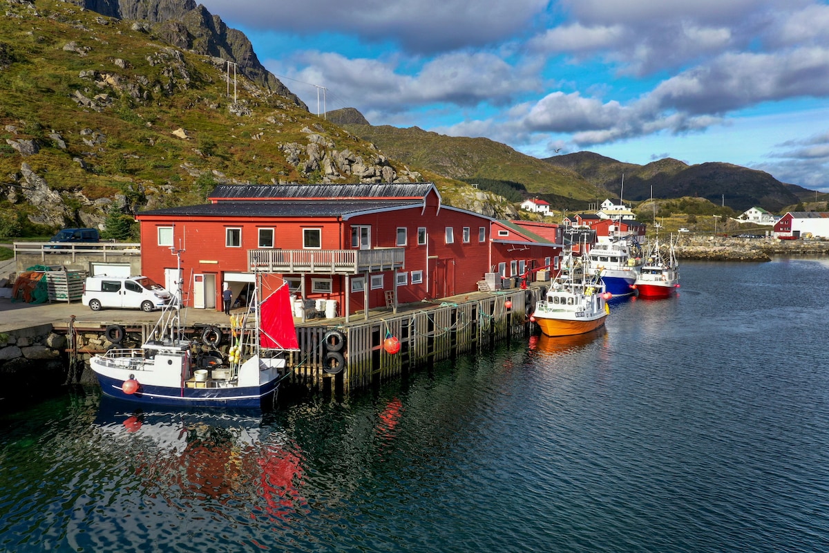 Fish Factory - The real Lofoten experience