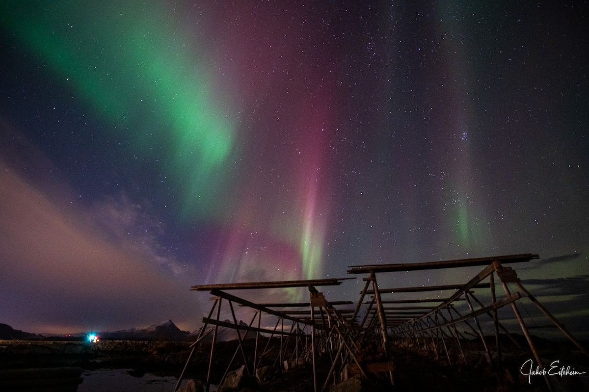 Fish Factory - The real Lofoten experience