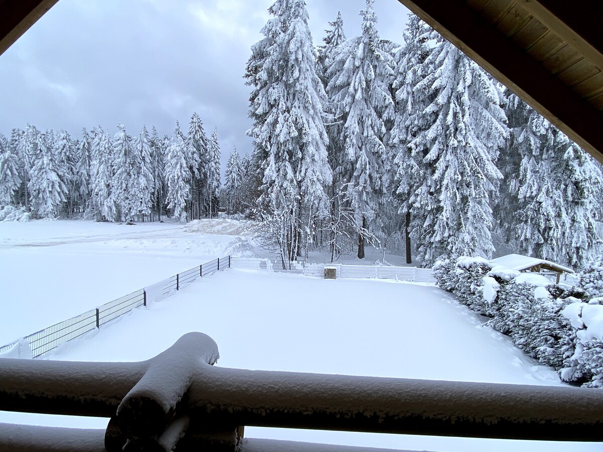 Blockhaus am Rennsteig