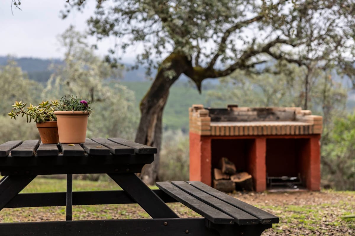 Finca Arroyo La Jara (Casa El Olivo)