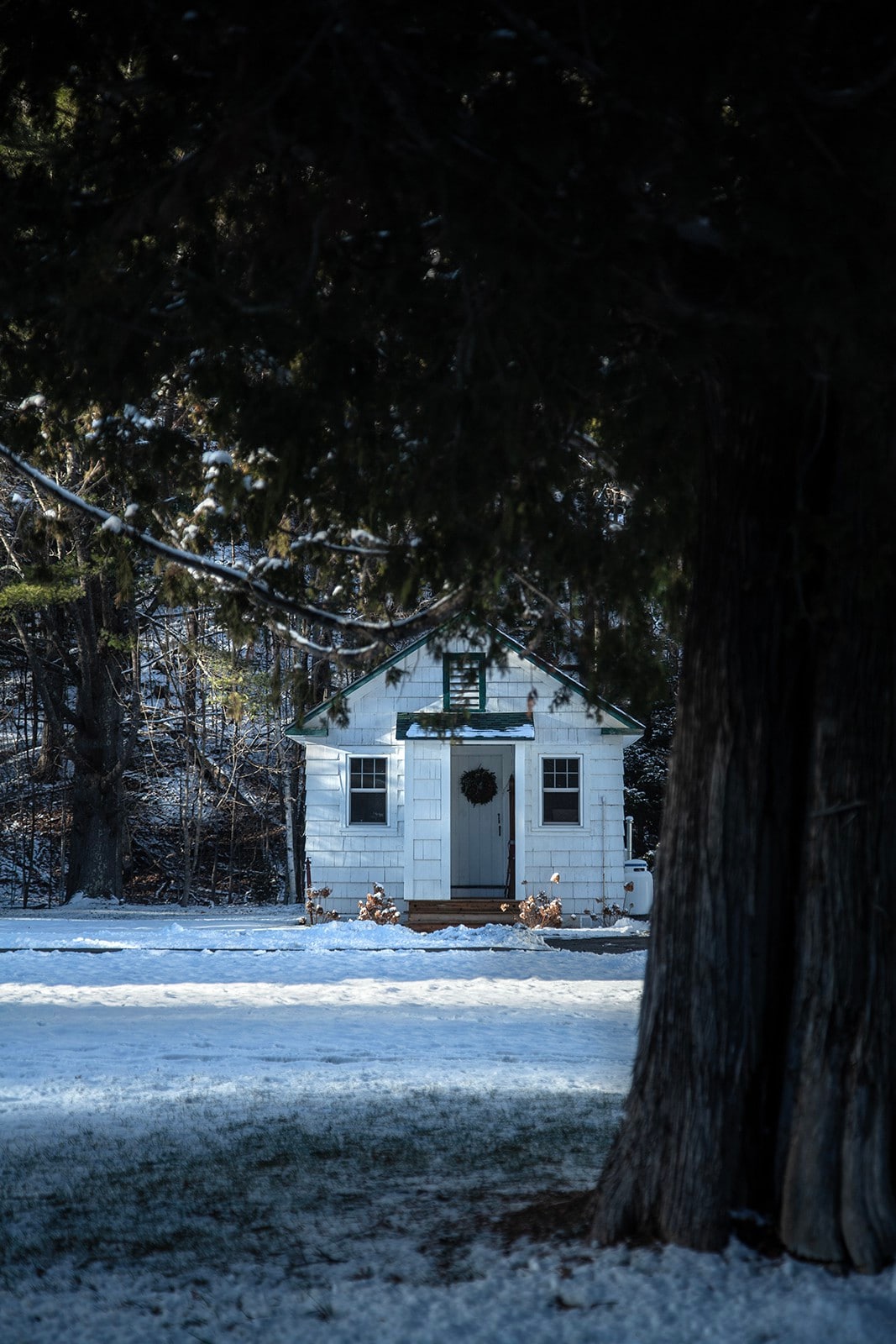 Romantic Adirondack 1 bed cabin