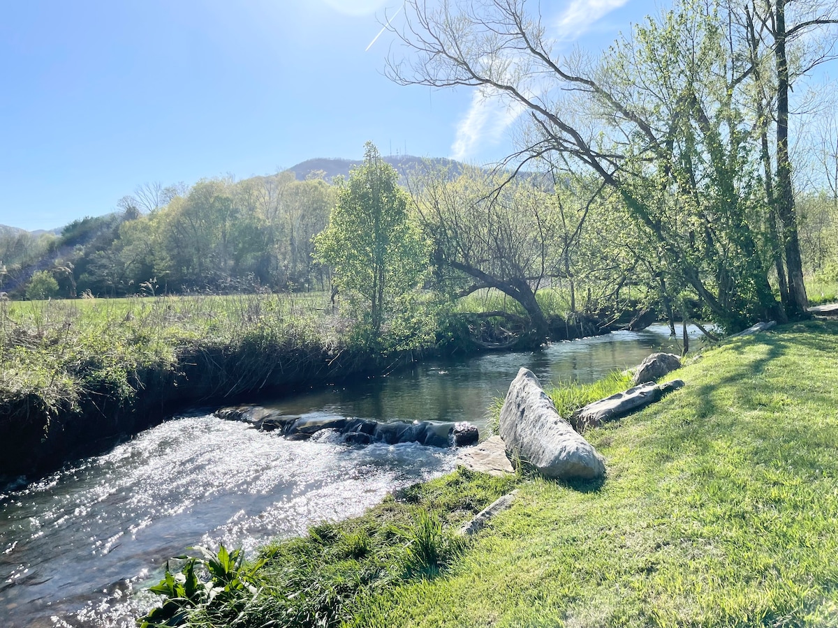 Creekside Charmer near I-26 w/ POOL TABLE