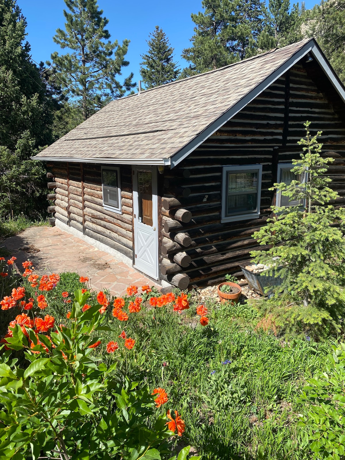 Cabin By The Water