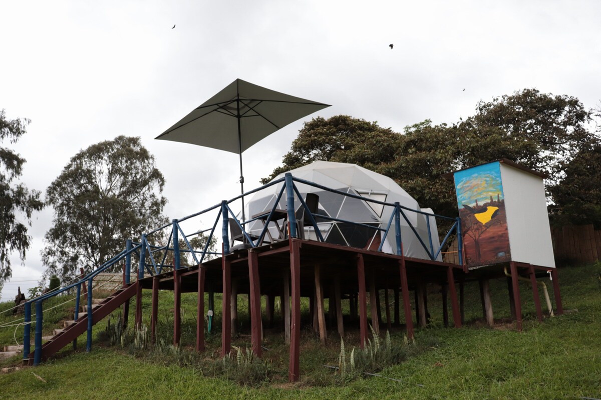 San migue glamping, domo Icterus