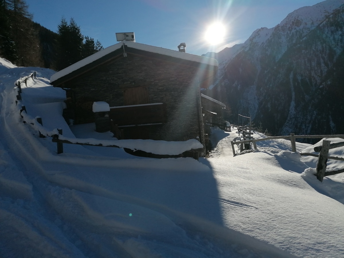 Accogliente baita in alpeggio