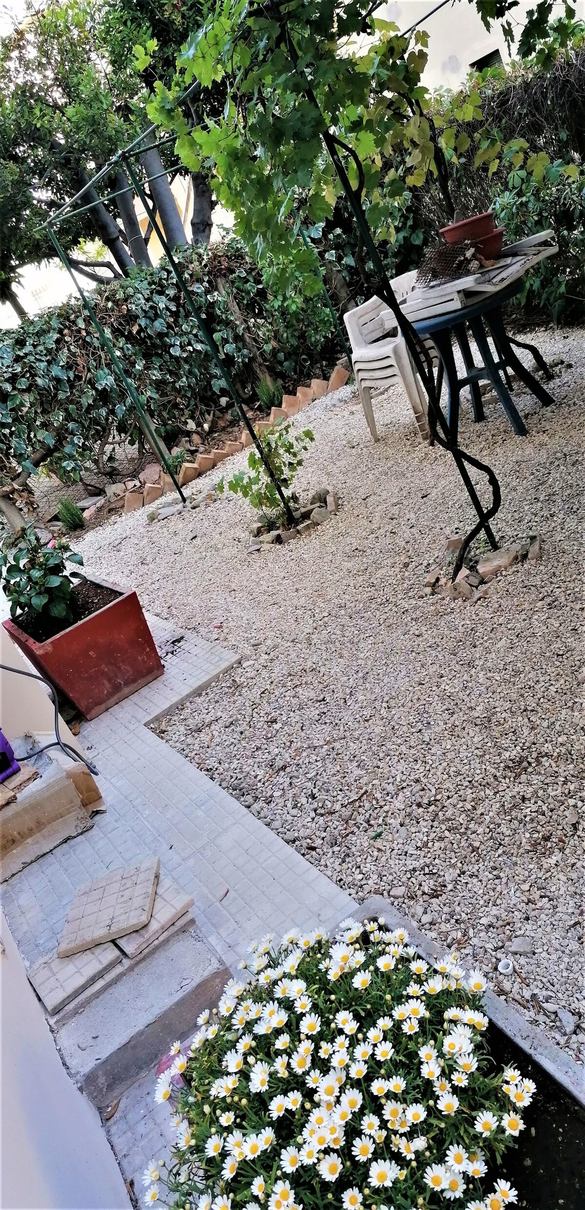 stanza con giardino e bagno privato