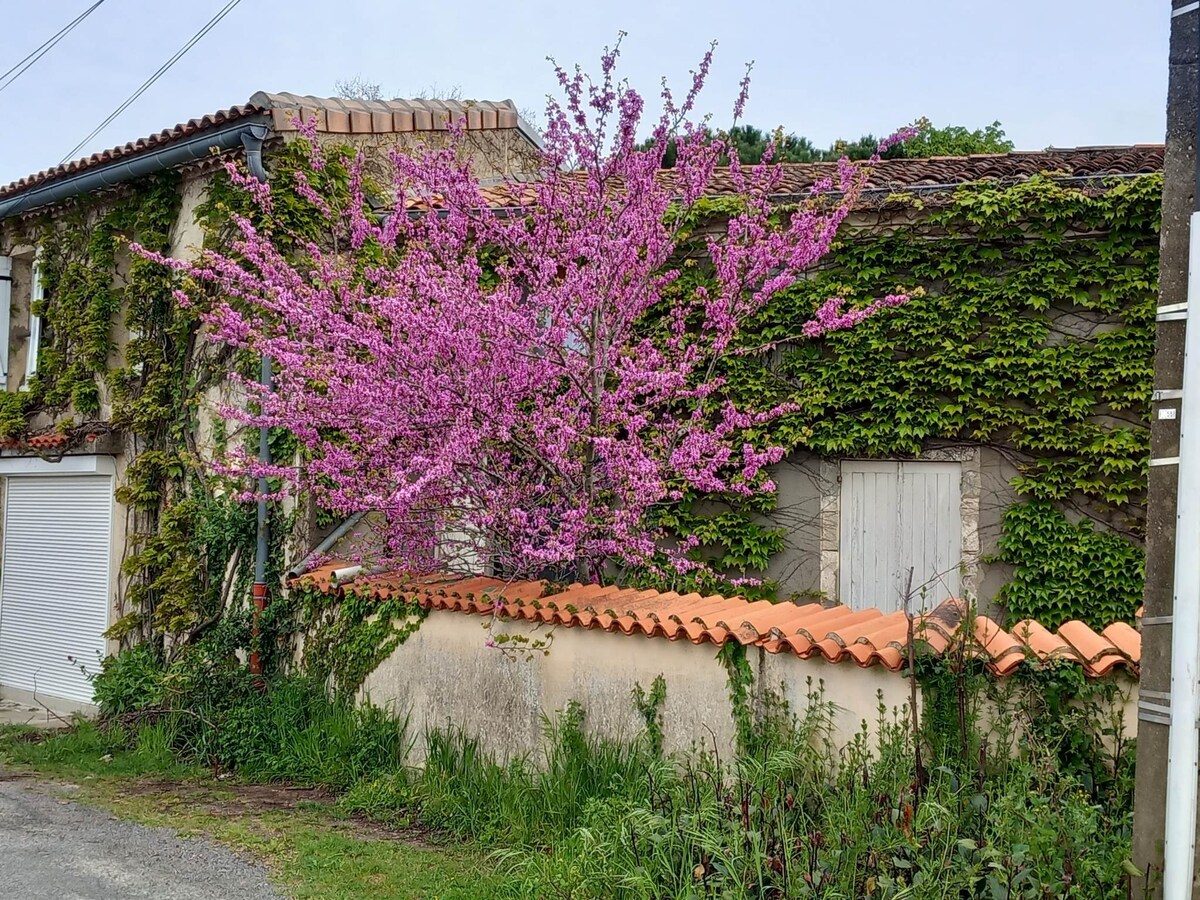 gîte La Ferrandière Berson Blaye Bordeaux Gironde