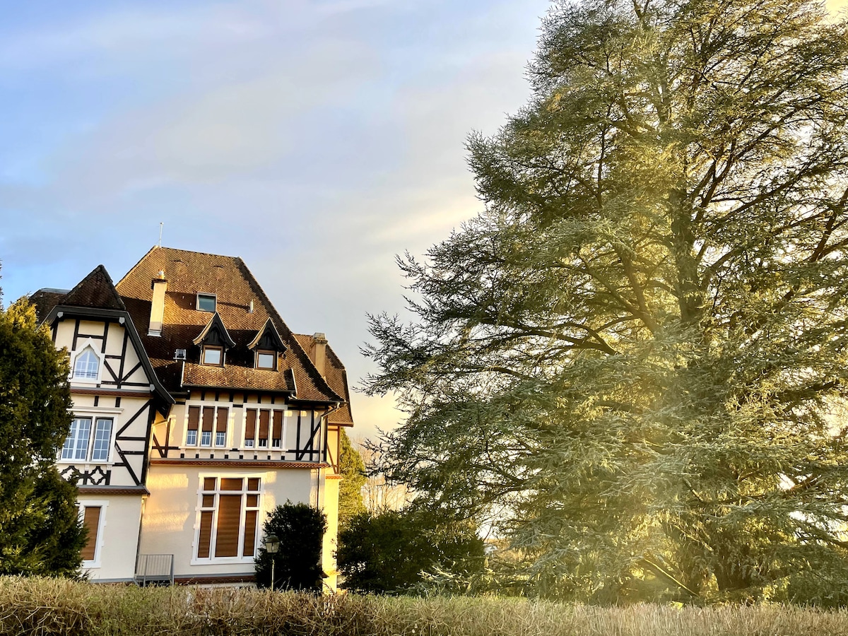 Charmant studio dans Château du XXème