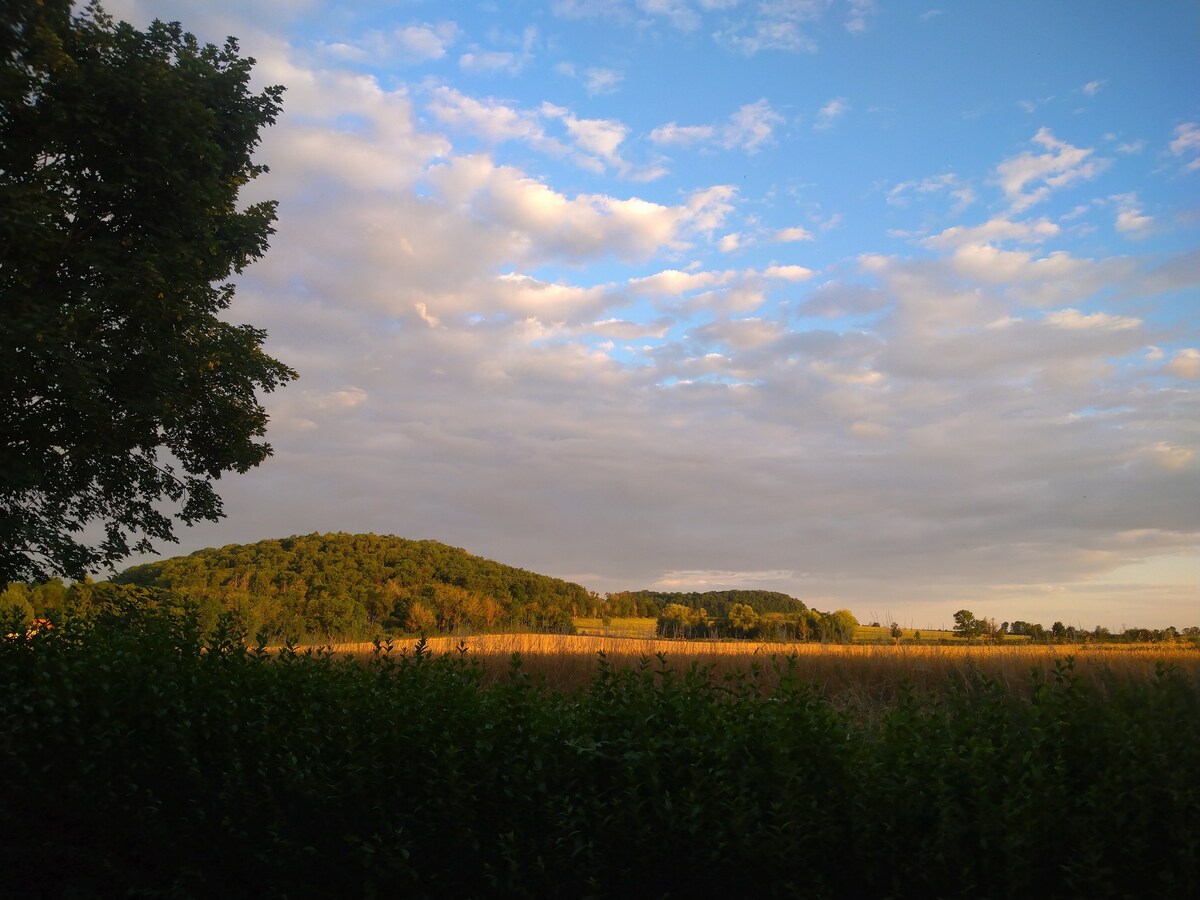 La Chouette Cabane