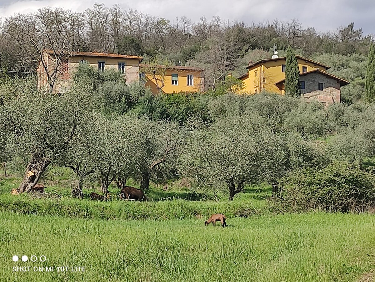 casa con vista sulla valle