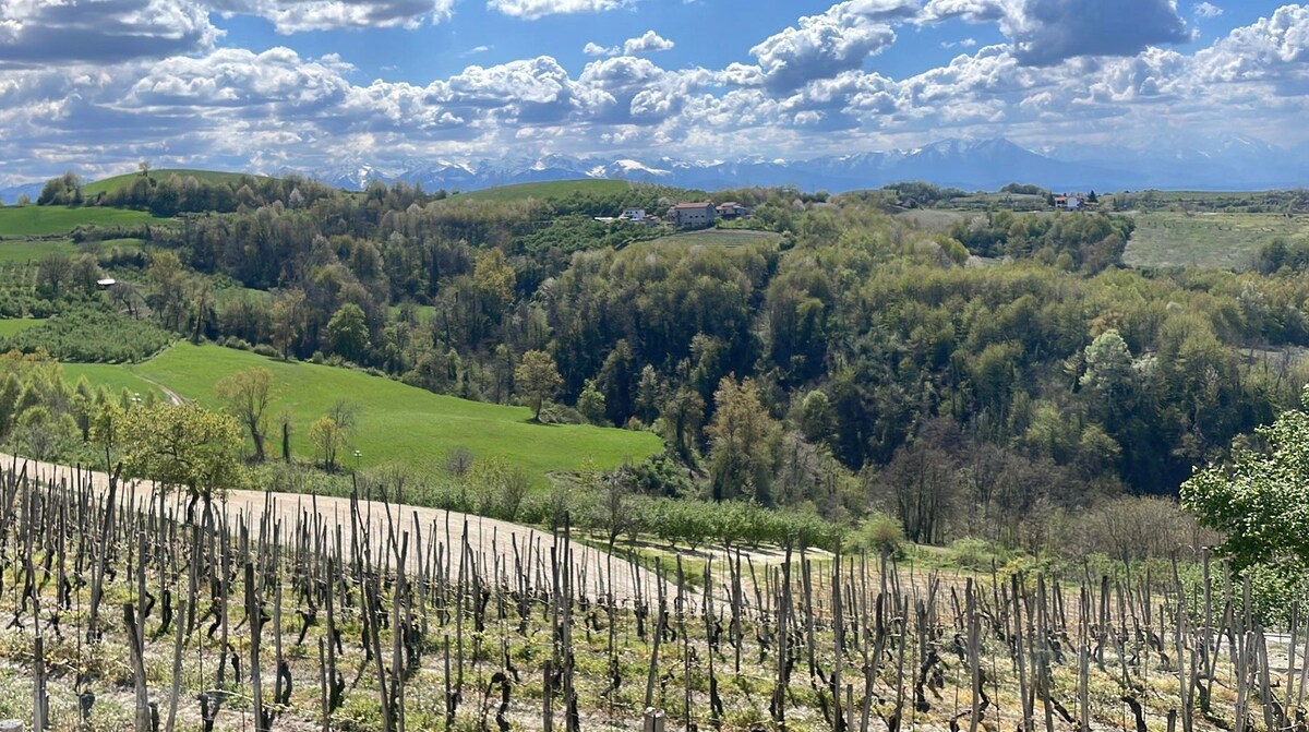 Casa Spicchio di Langa