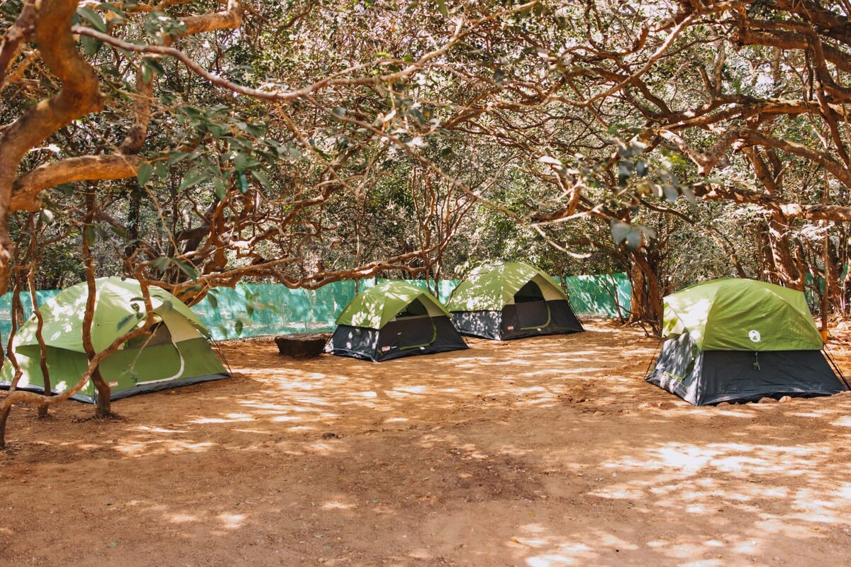 Authentic Tents